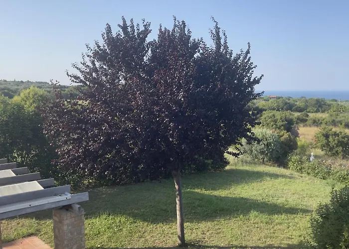 Dalla